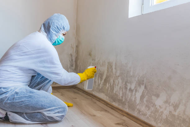 Commercial Mold Remediation assessment for commercial property in Rocky Mount